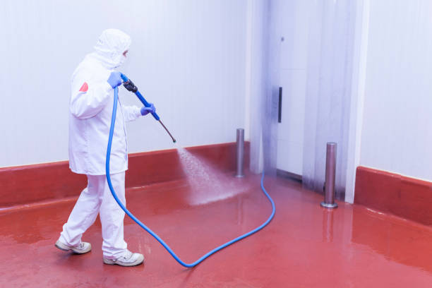 Best Boat and Dock Cleaning  in Winooski, VT